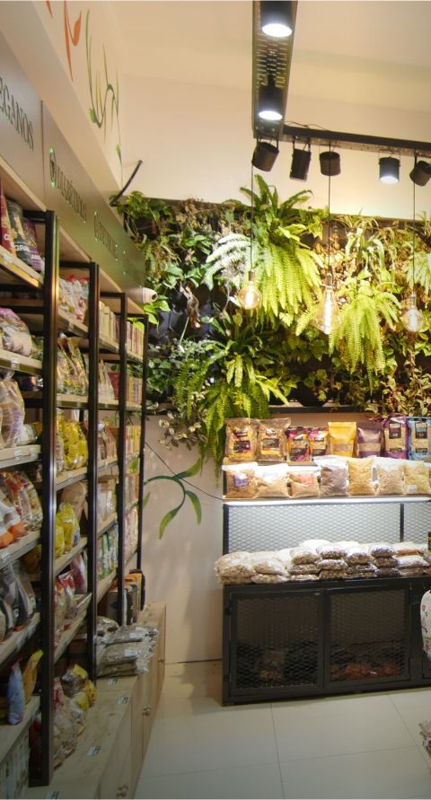 galeria